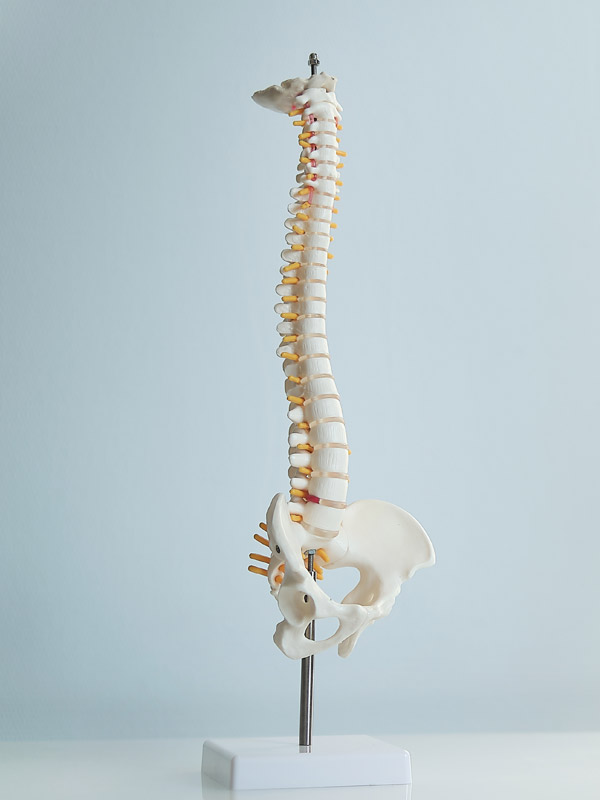 Spinal Adjustment in New Castle IN - Abundant Life Clinic of Chiropractic